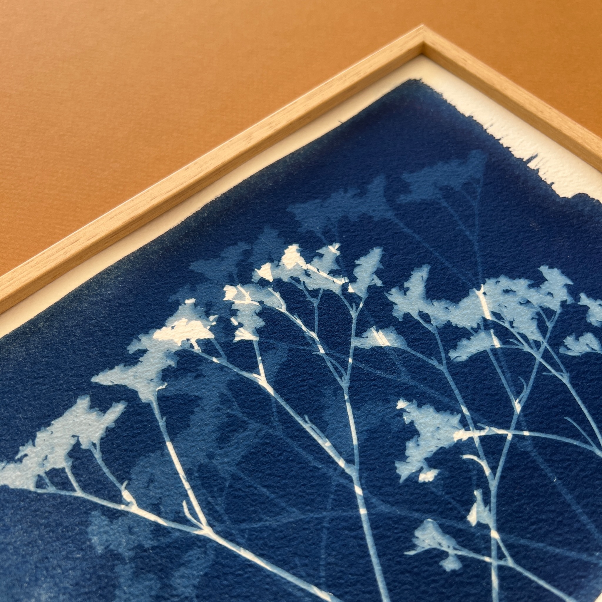 C-92-XS - Cyanotype - Fleurs - Les Poésies Végétales - 3