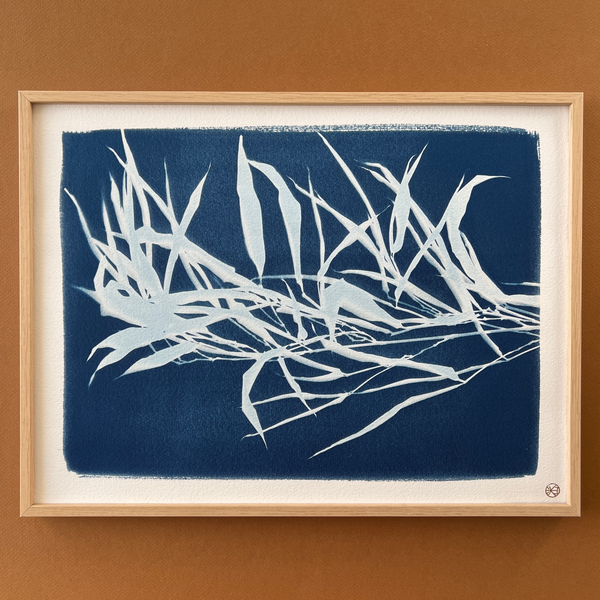 C-103-M - Cyanotype - Bambous - Les Poésies Végétales - 1