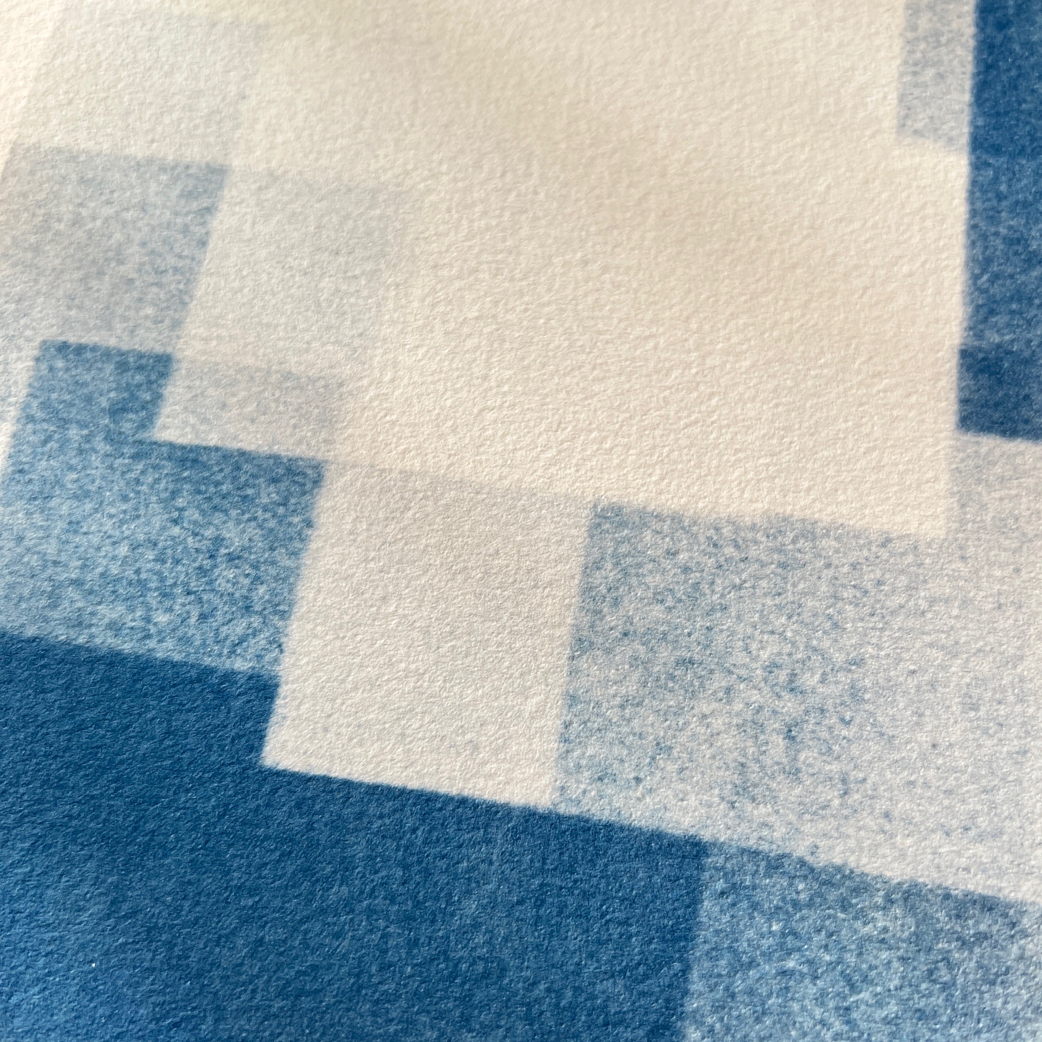 C-113-S - Cyanotype - tetris - Les Poésies Végétales - 2