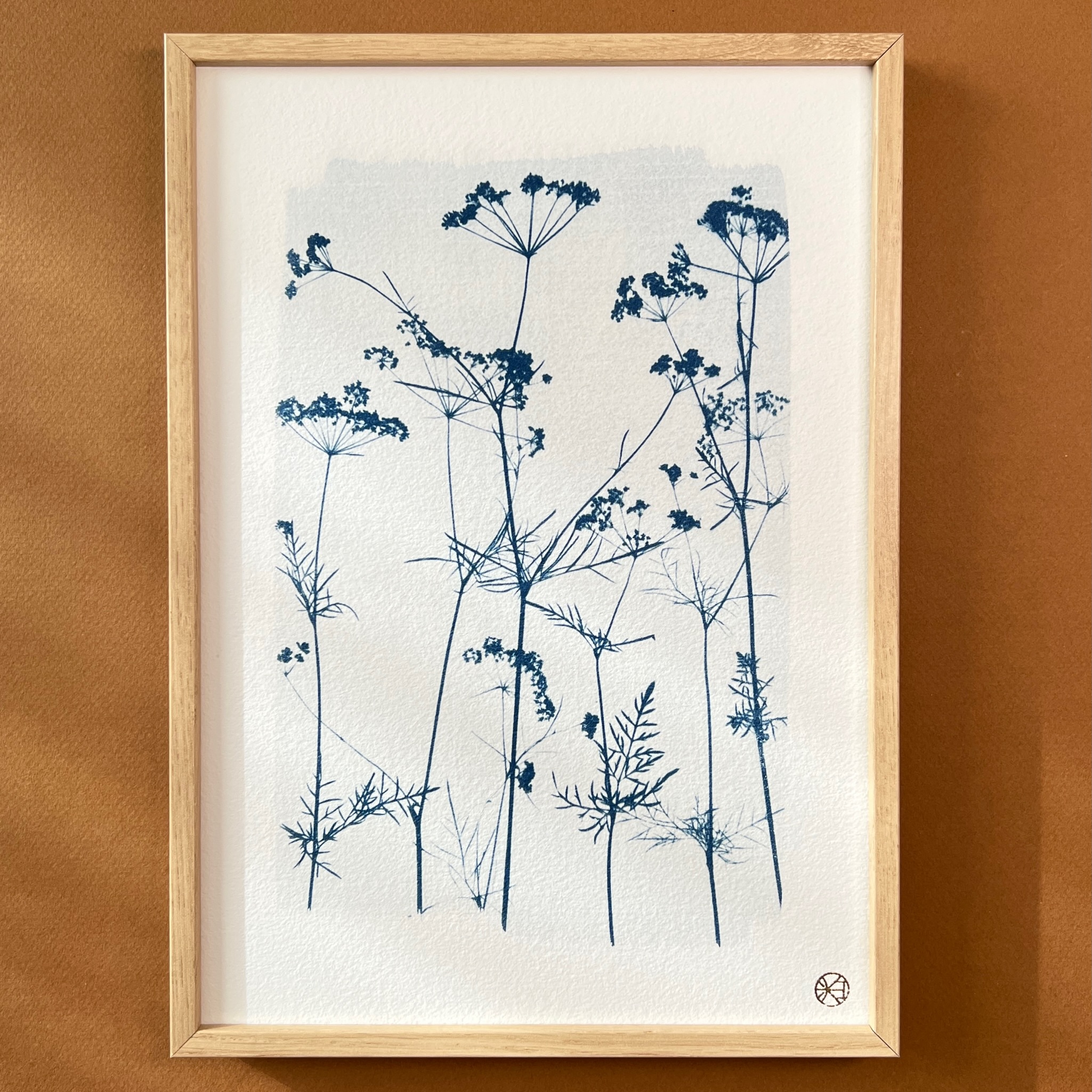 C-115-S - Cyanotype - carottes sauvages givrées - Les Poésies Végétales - 3