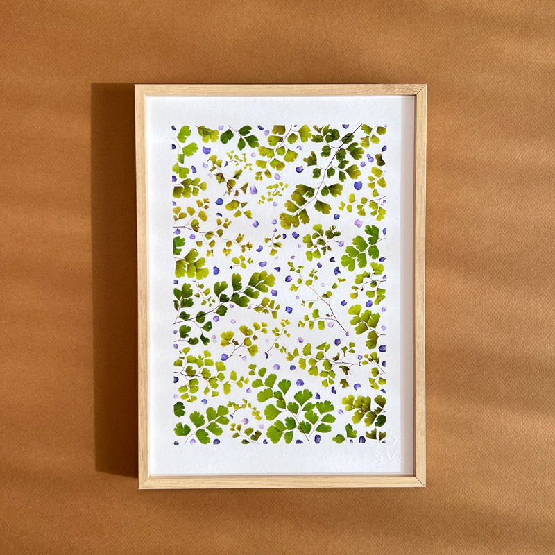 tirage-d-art-herbier-adiantum-vert-s1