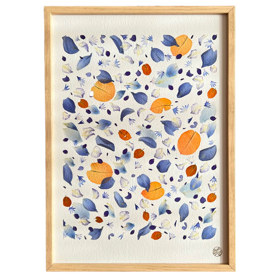 H412S-herbier-les-poesies-vegetales1