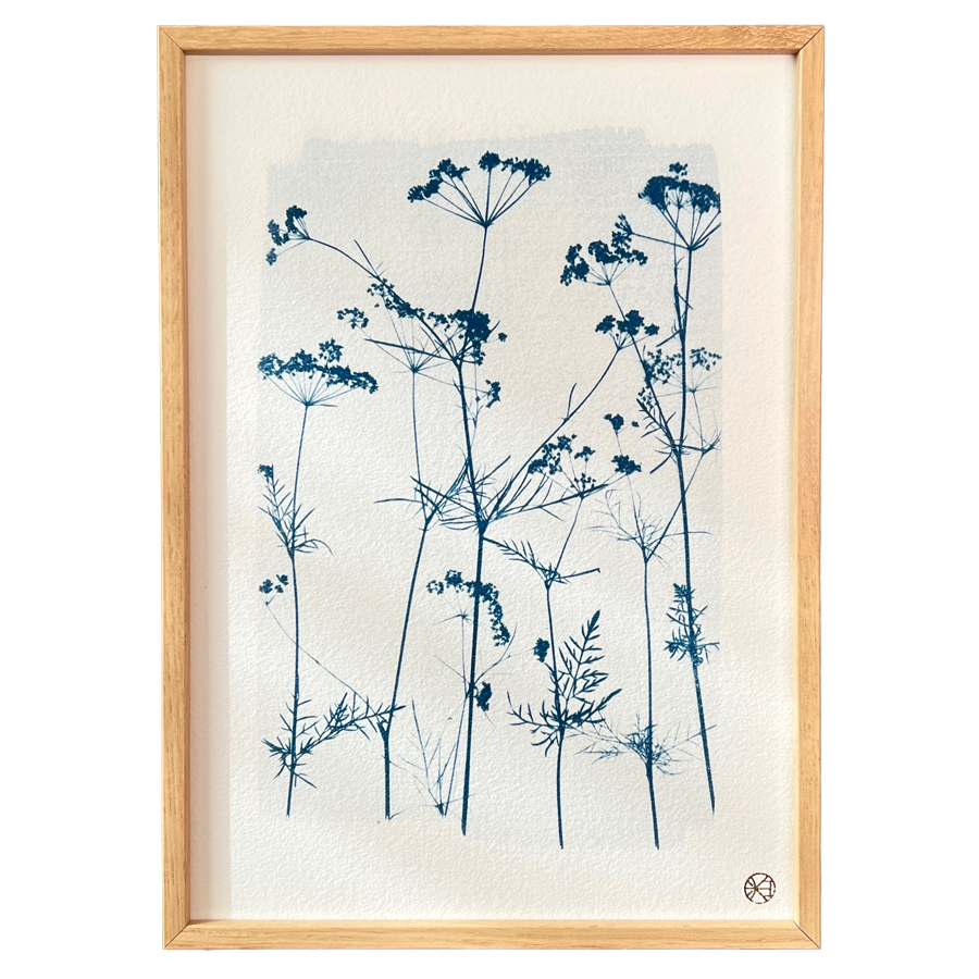 C115S-les-poesies-vegetales