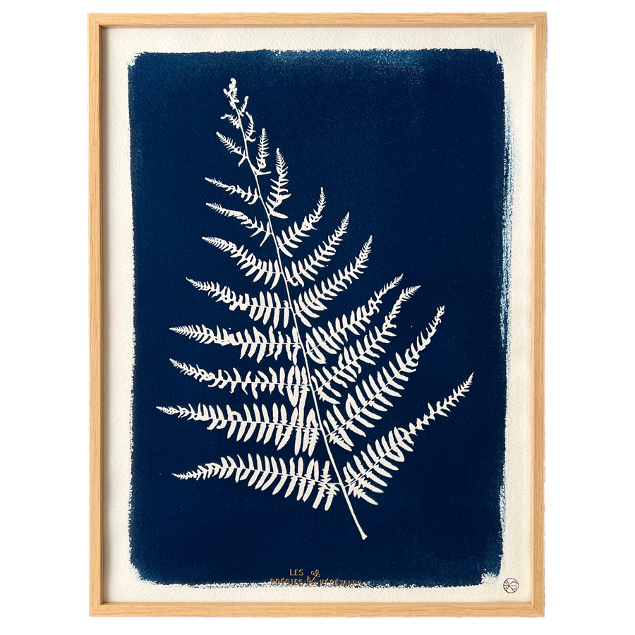C59M-les-poesies-vegetales