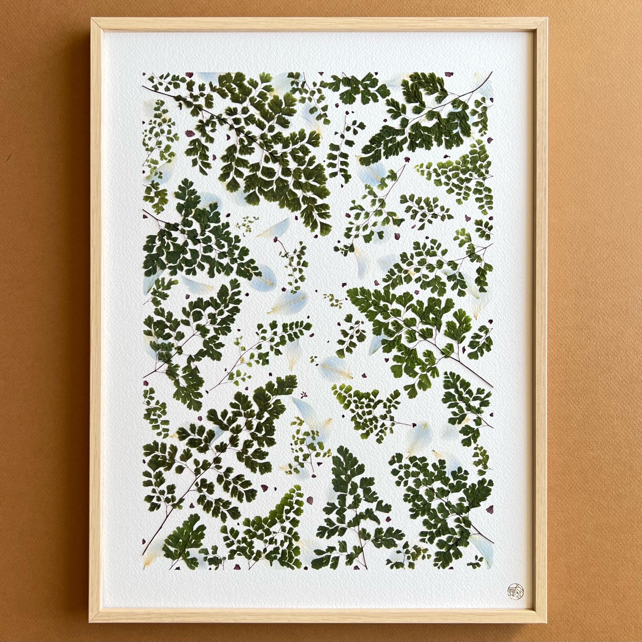 h-445-m-herbier-fleurs-les-poesies-vegetales-2