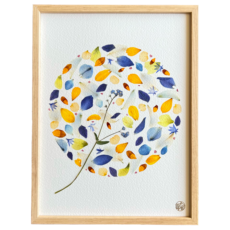 h-448-xs-herbier-fleurs-les-poesies-vegetales-1