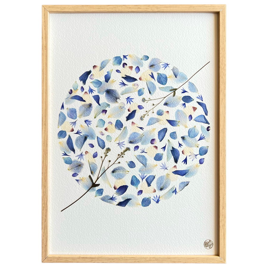 herbier-h-455-s-les-poesies-vegetales-1