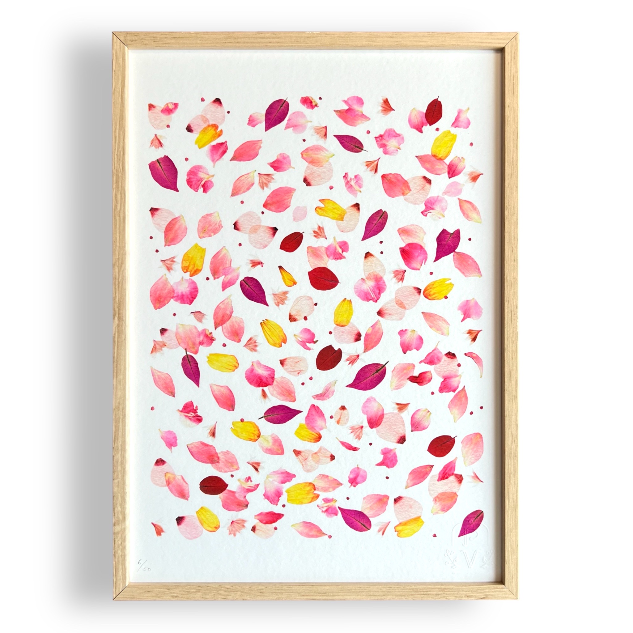 tirage-art-sorbet-les-poesies-vegetales-1