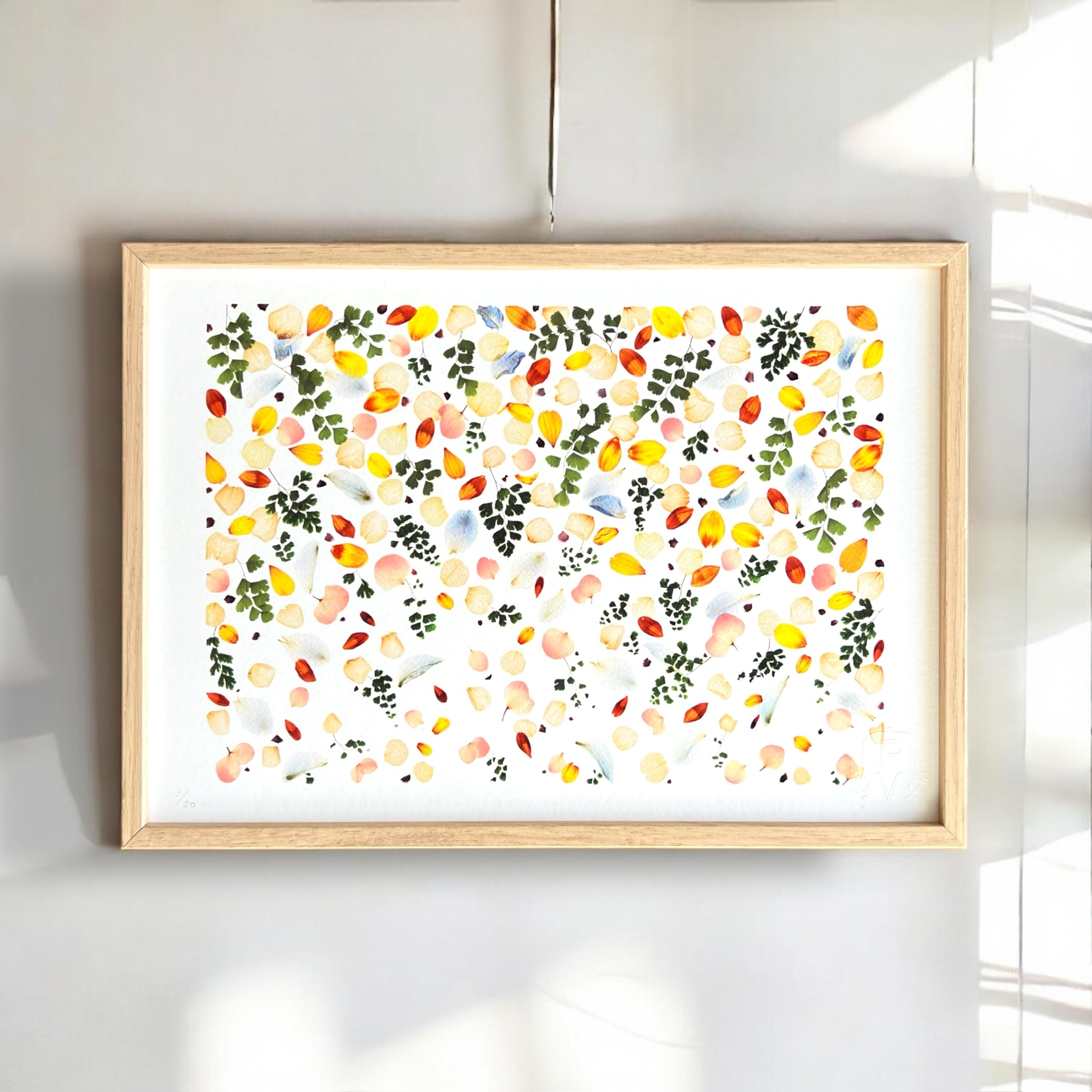 tirage-art-acacia-les-poesies-vegetales-2