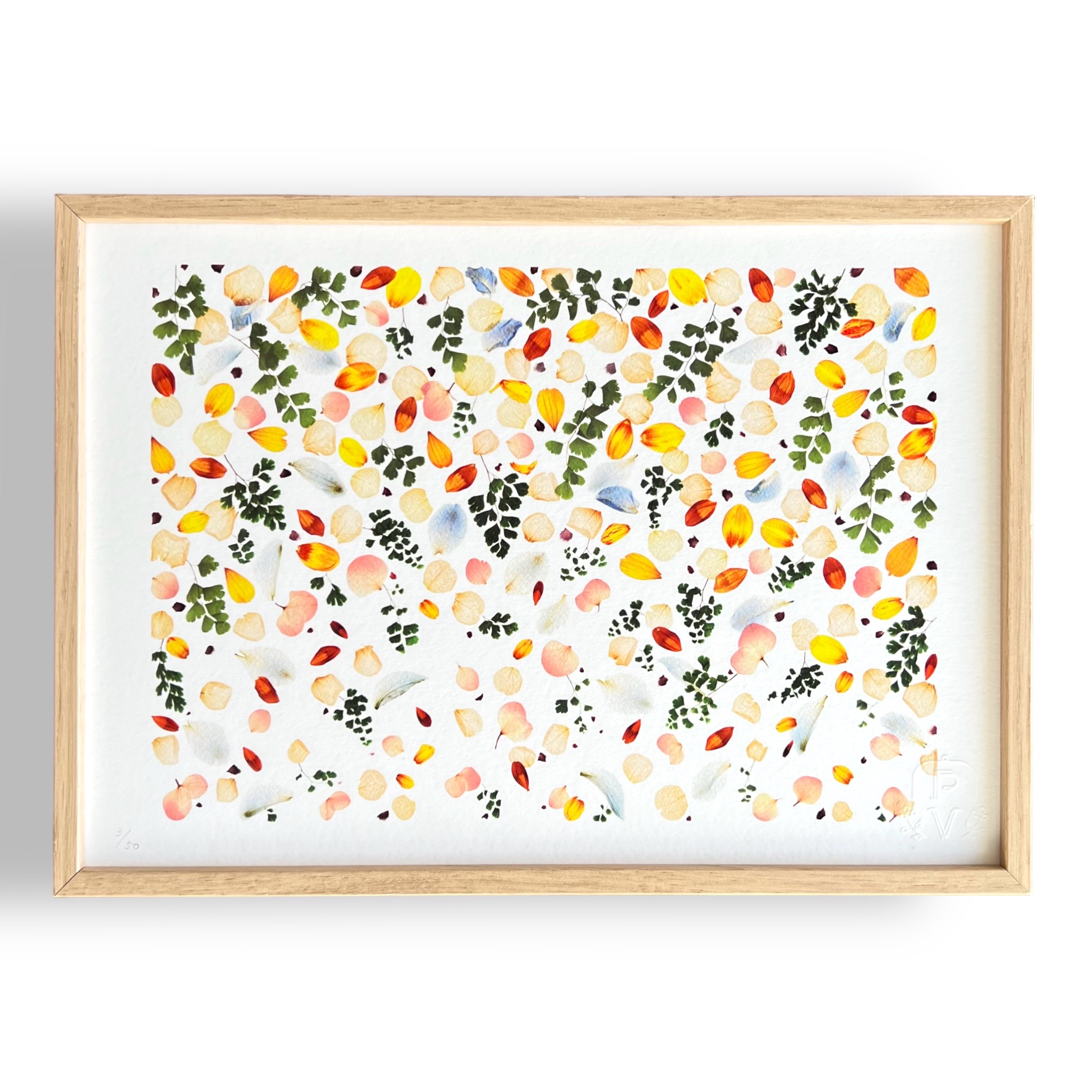 tirage-art-acacia-les-poesies-vegetales-3
