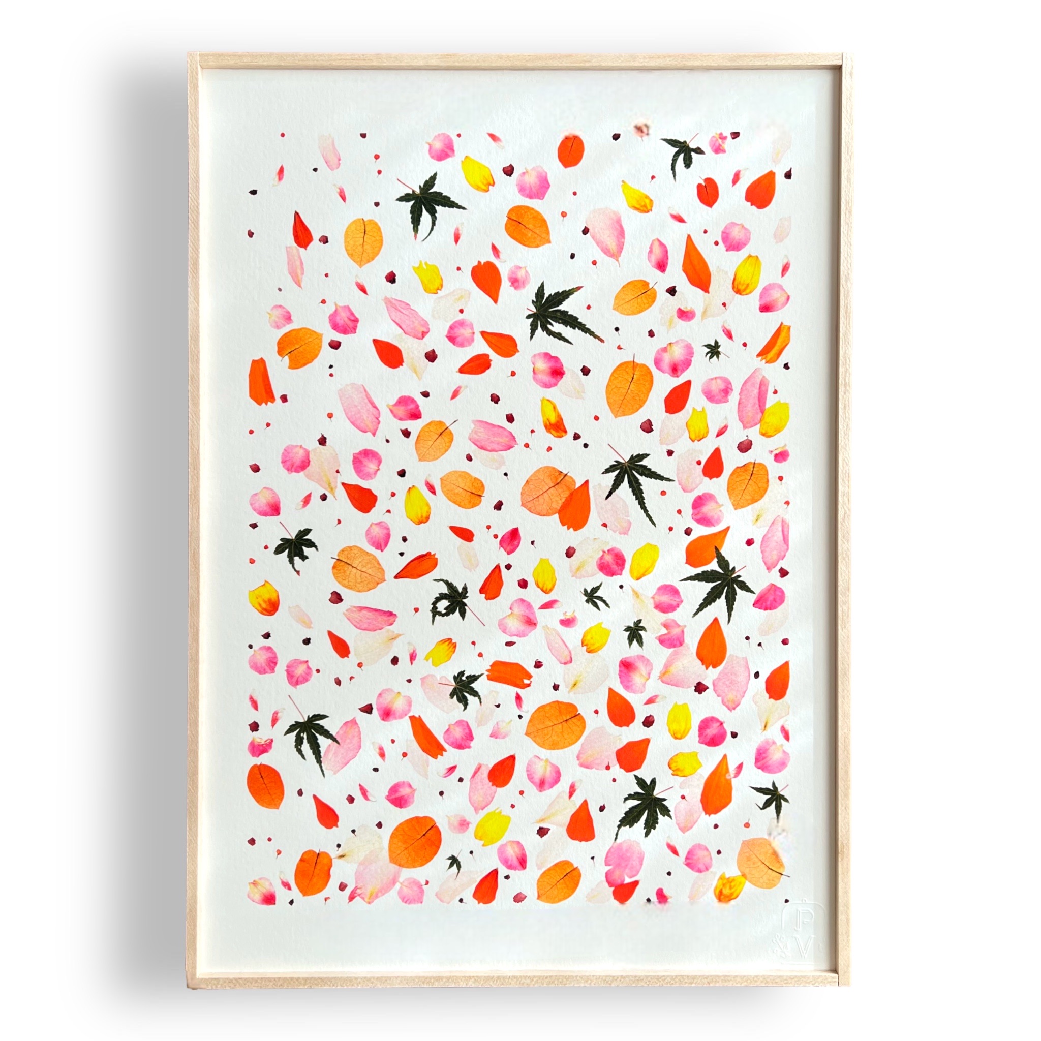 tirage-art-bougainvillier-les-poesies-vegetales-1