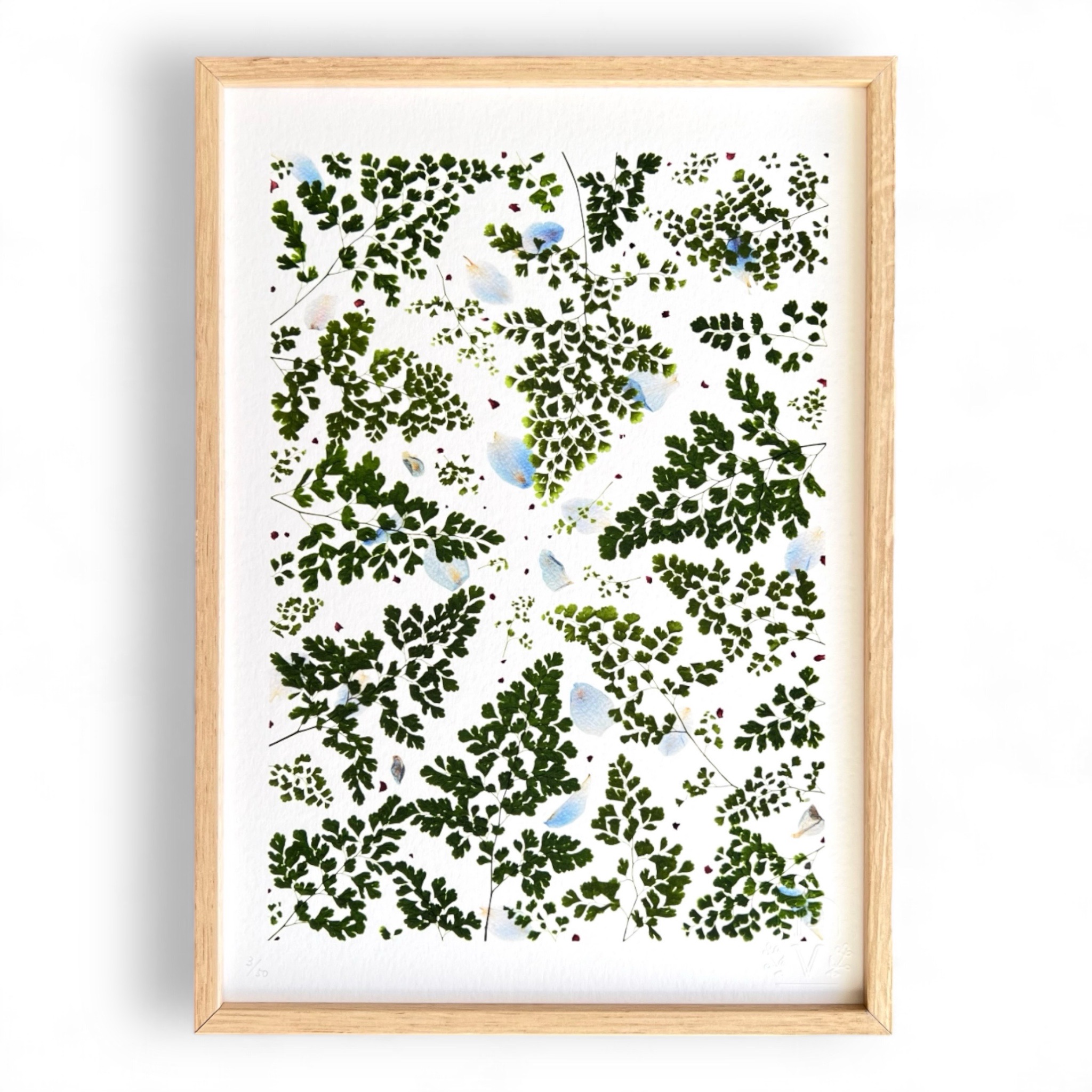 tirage-art-canopee-les-poesies-vegetales-4