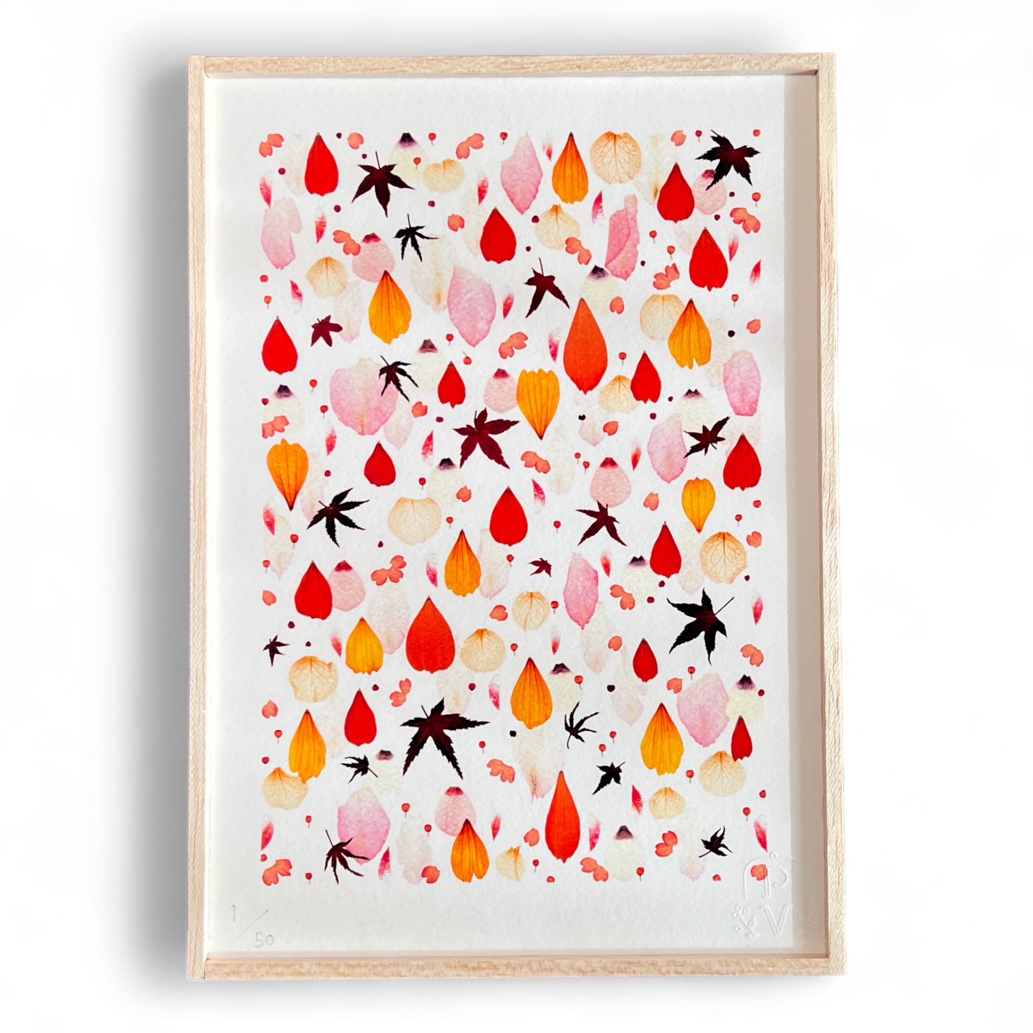 tirage-art-cosmos-les-poesies-vegetales-1