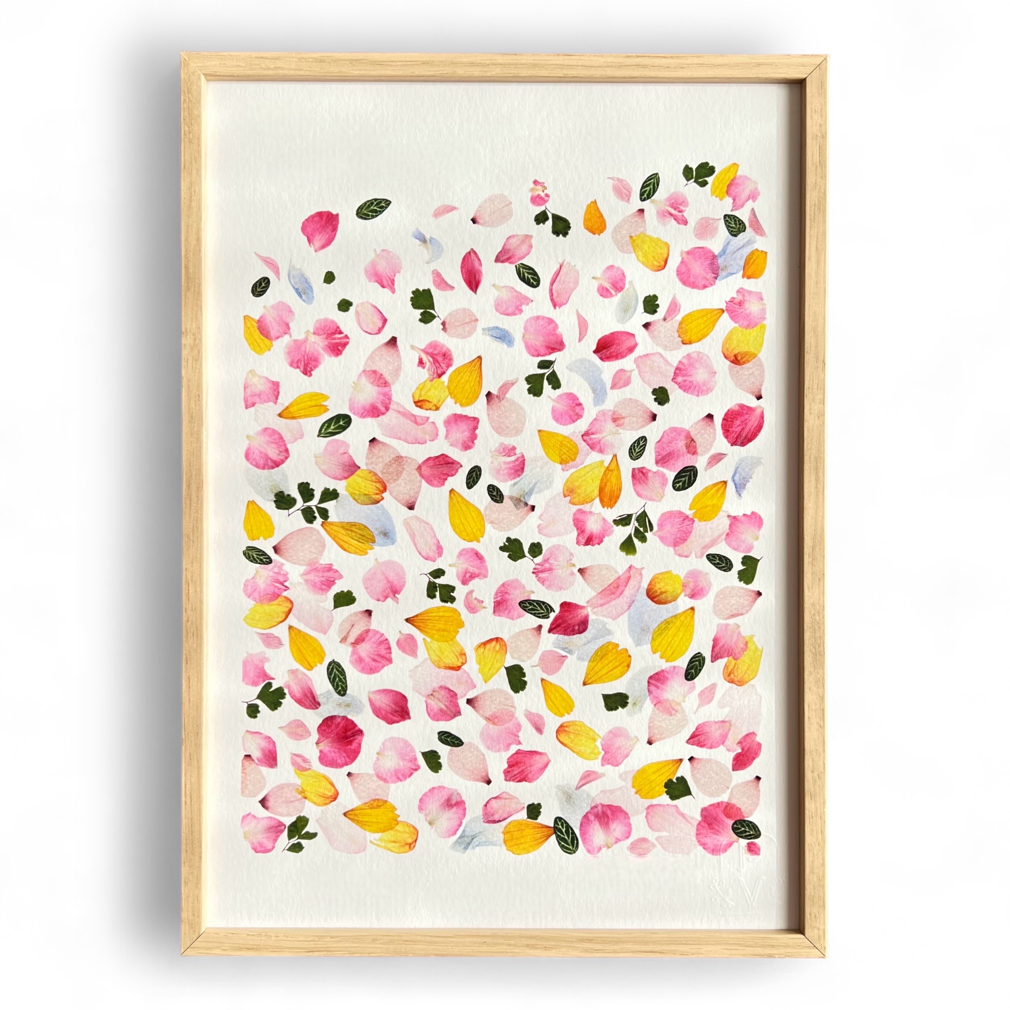 tirage-art-dahlia-les-poesies-vegetales-1