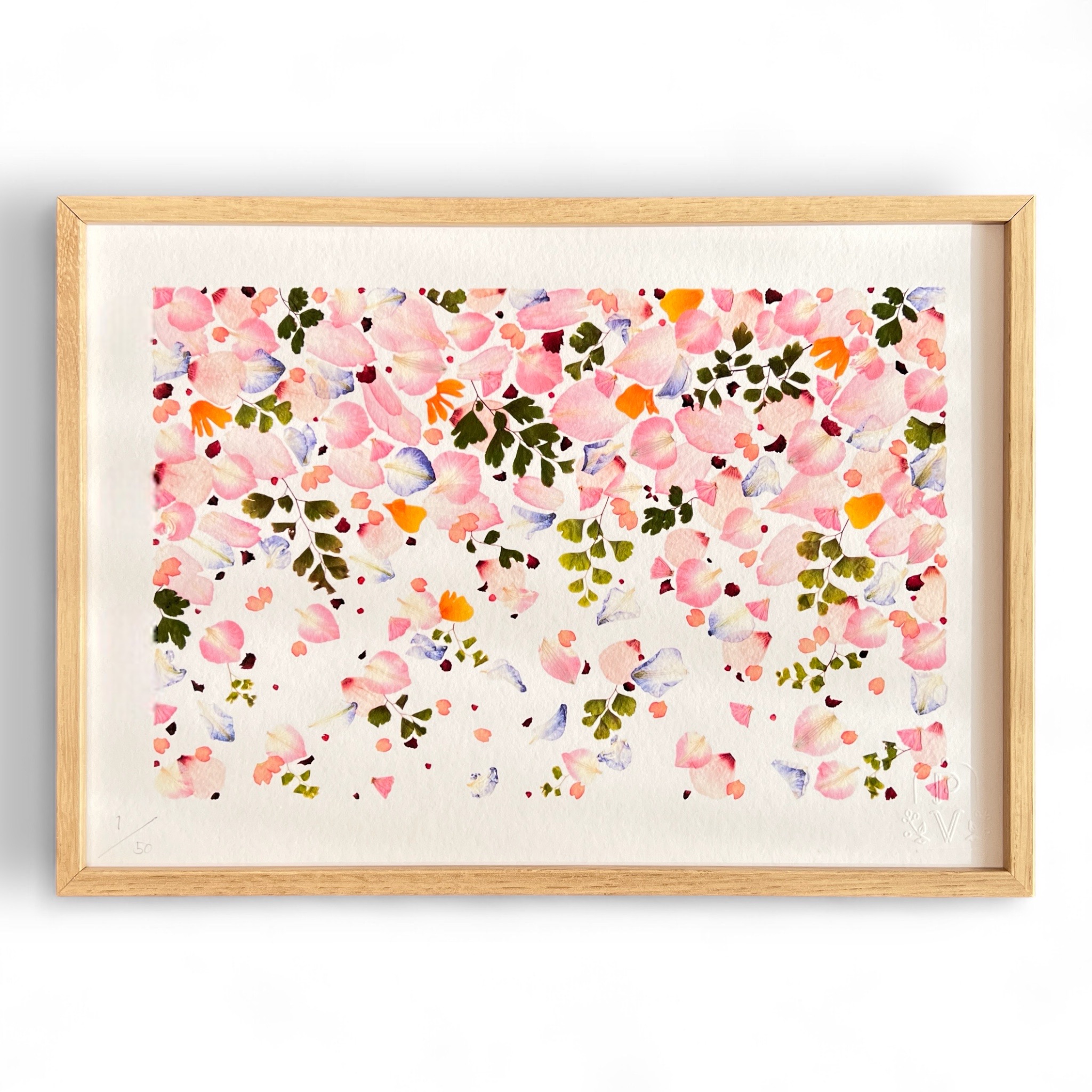tirage-art-glycine-rose-les-poesies-vegetales-1