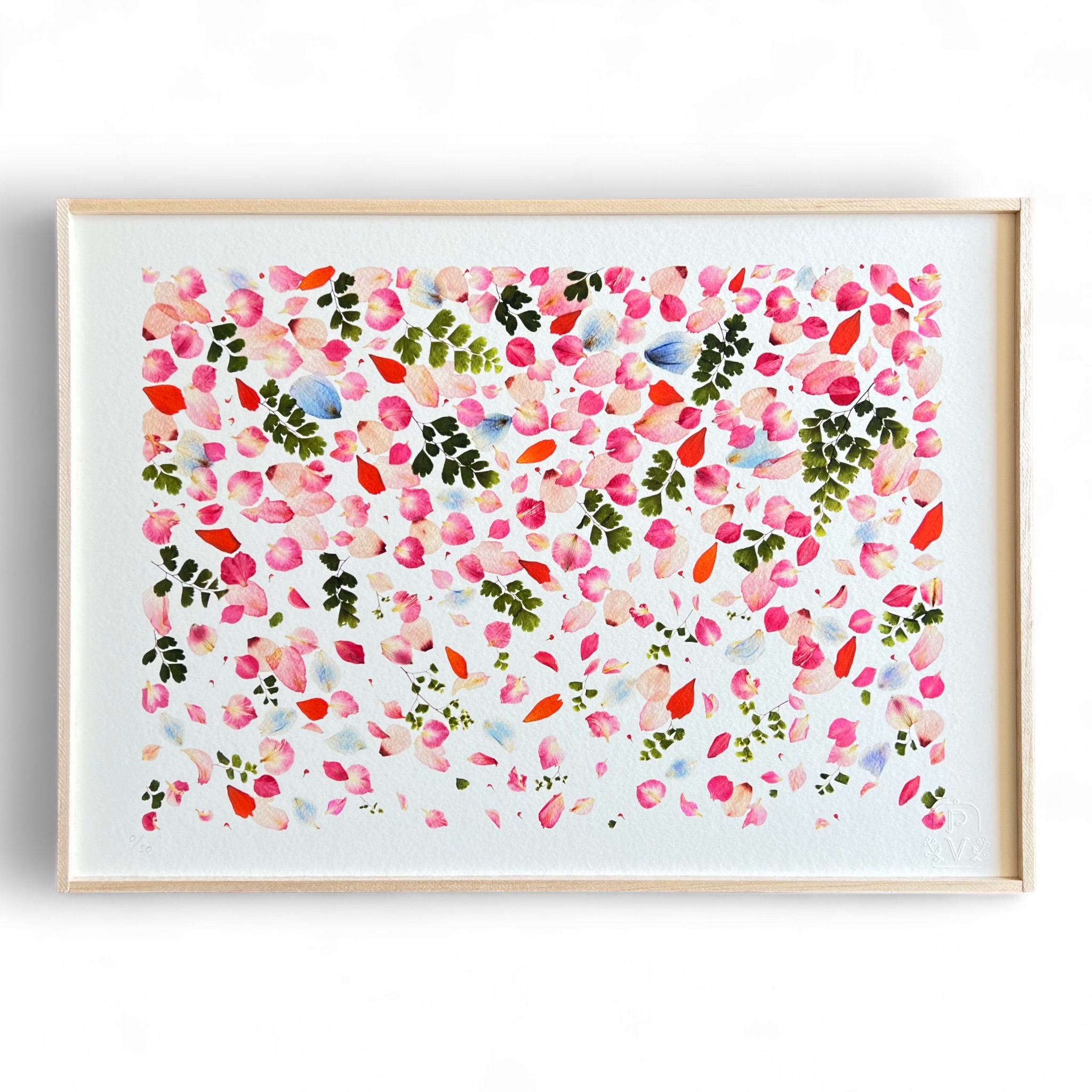 tirage-art-grenadier-rose-les-poesies-vegetales-1