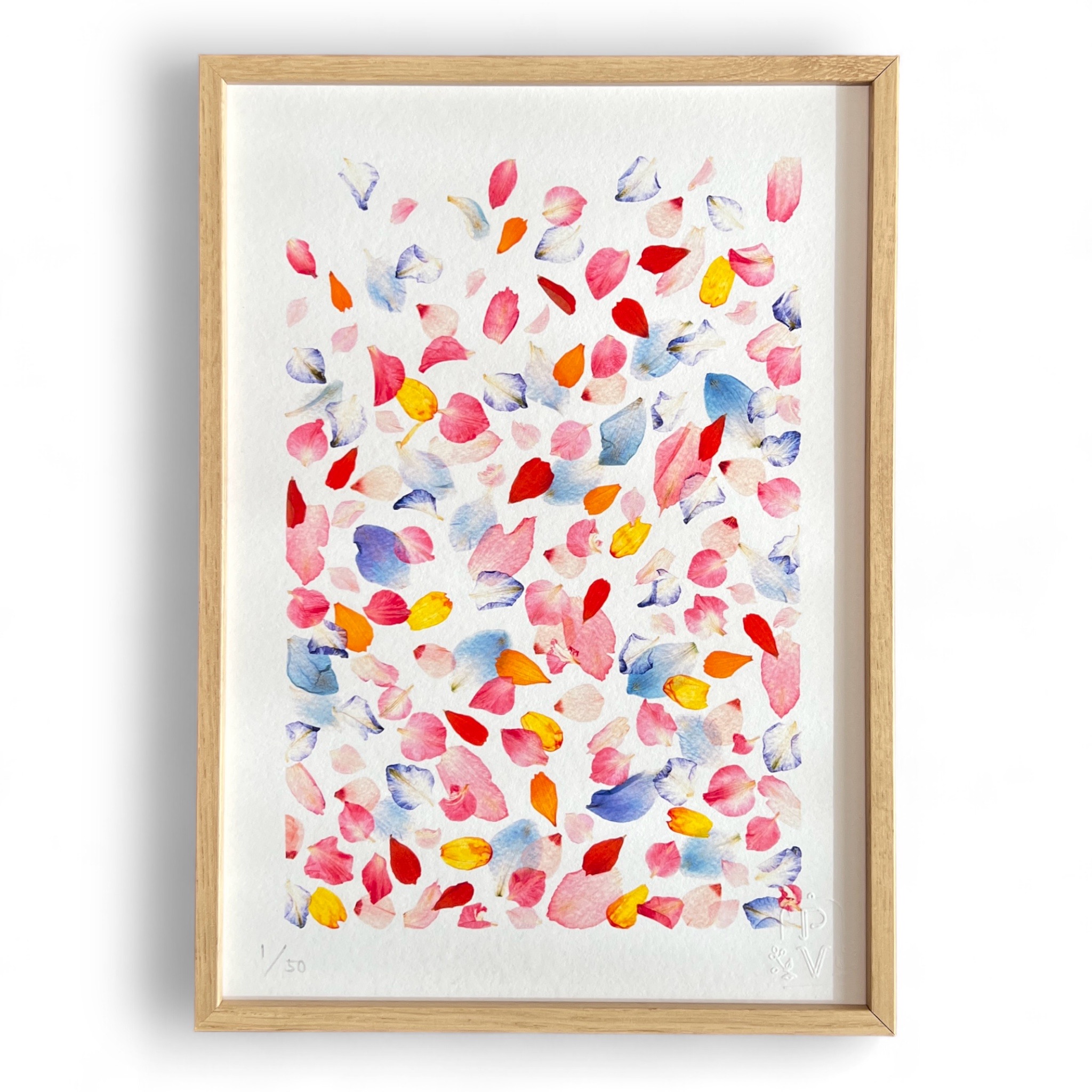 tirage-art-dauphinelle-rose-les-poesies-vegetales-1