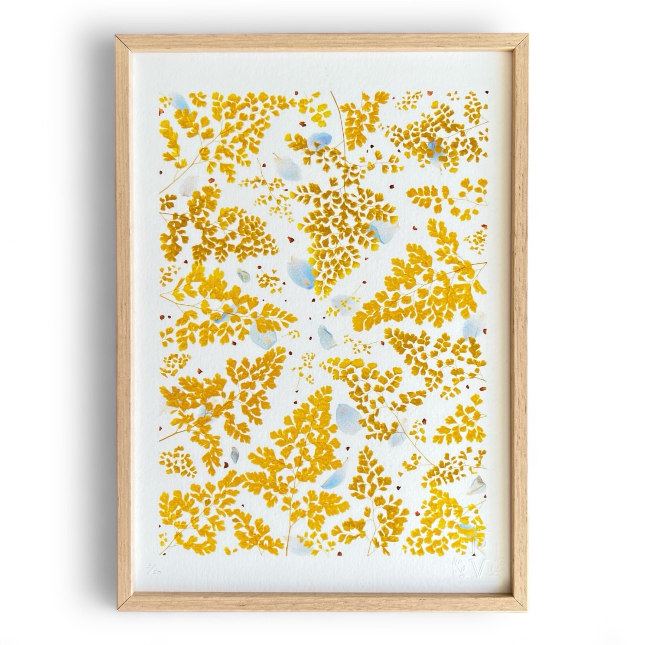 tirage-art-gingko-les-poesies-vegetales-2