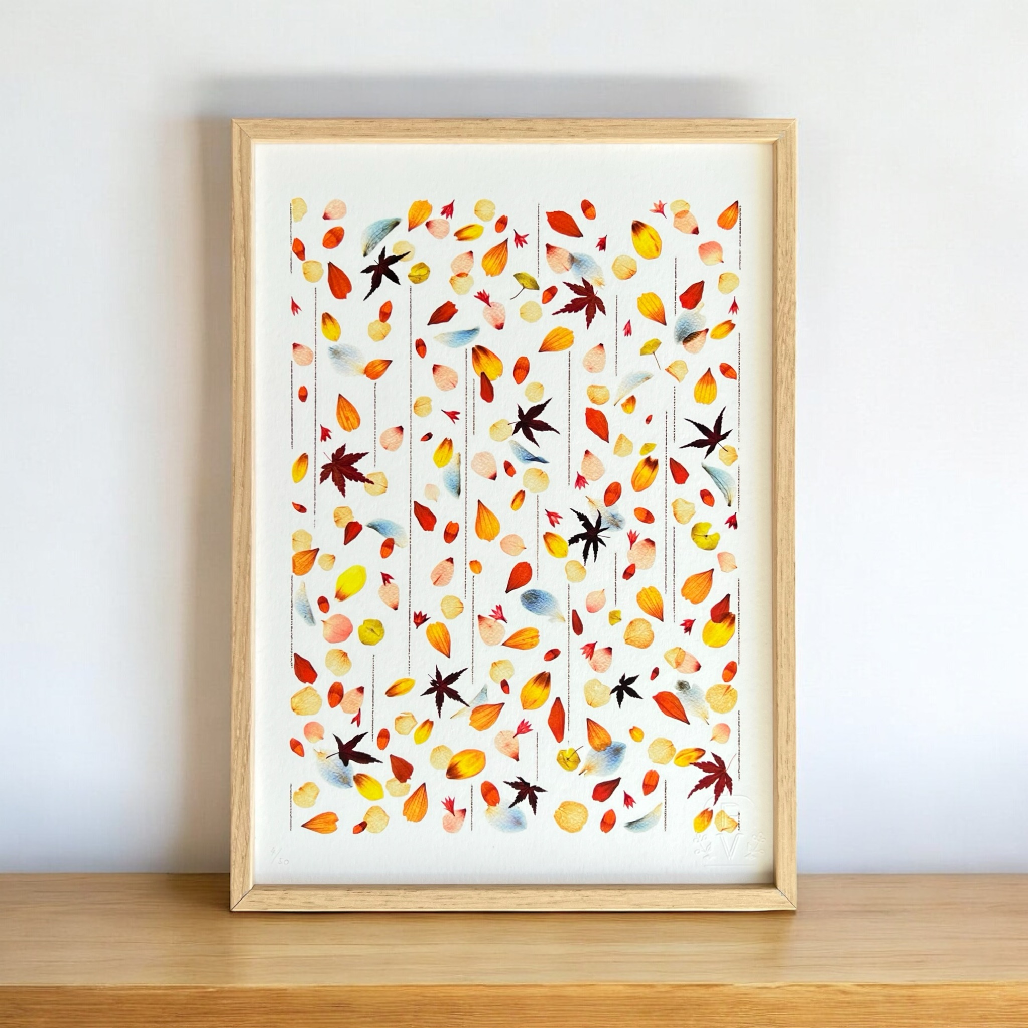 tirage-art-pluie-de-petales-les-poesies-vegetales-2