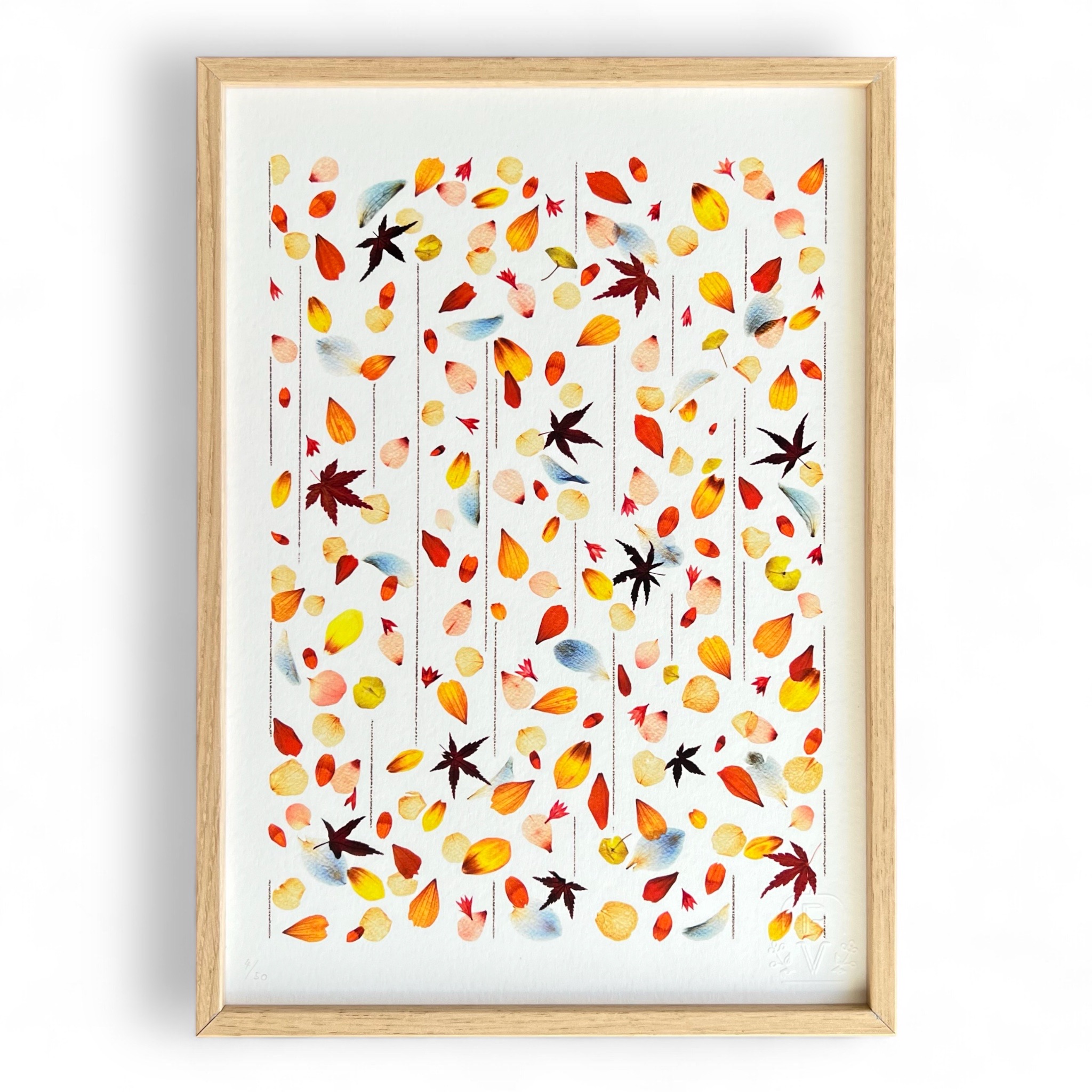 tirage-art-pluie-de-petales-les-poesies-vegetales-1