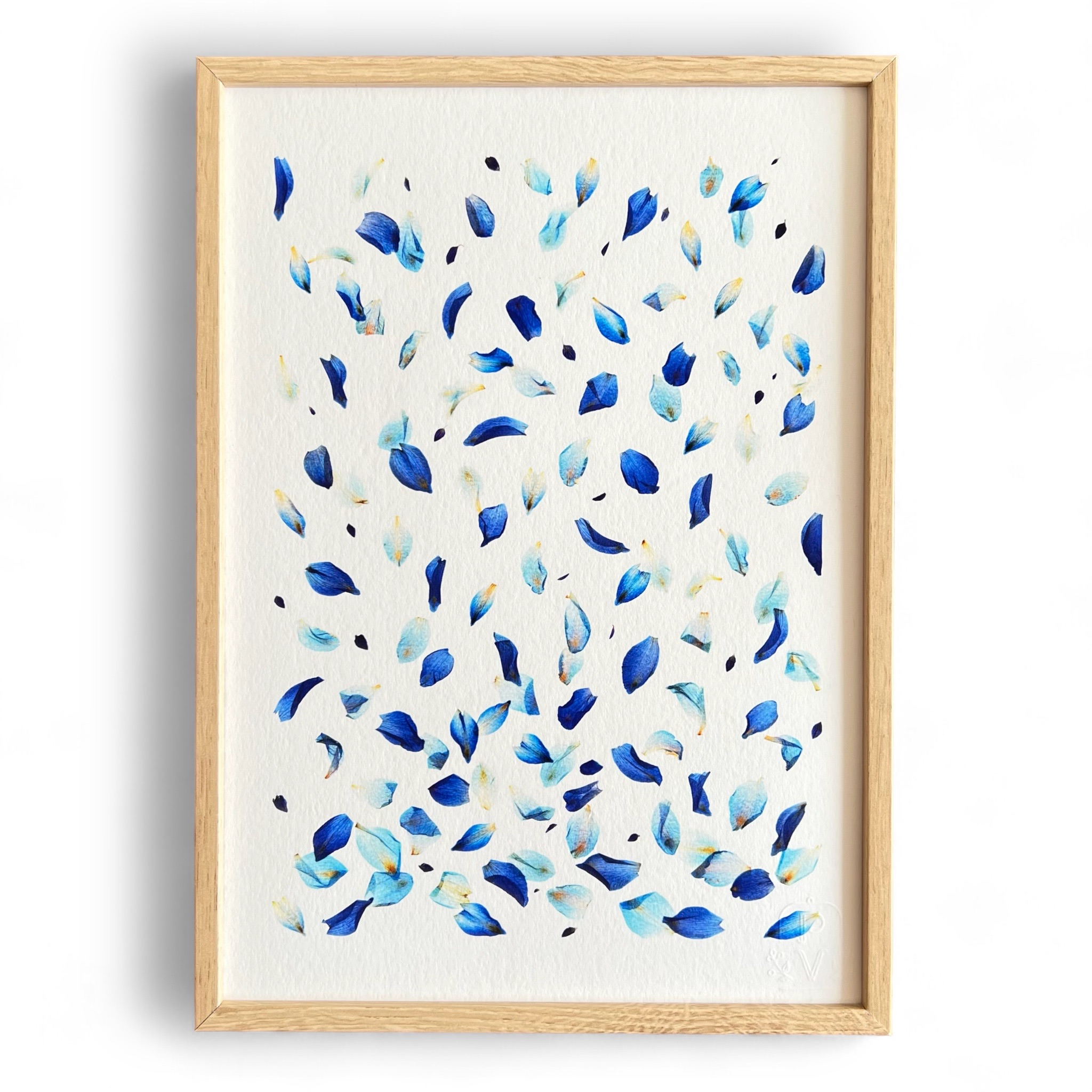 tirage-art-ipomee-les-poesies-vegetales-1