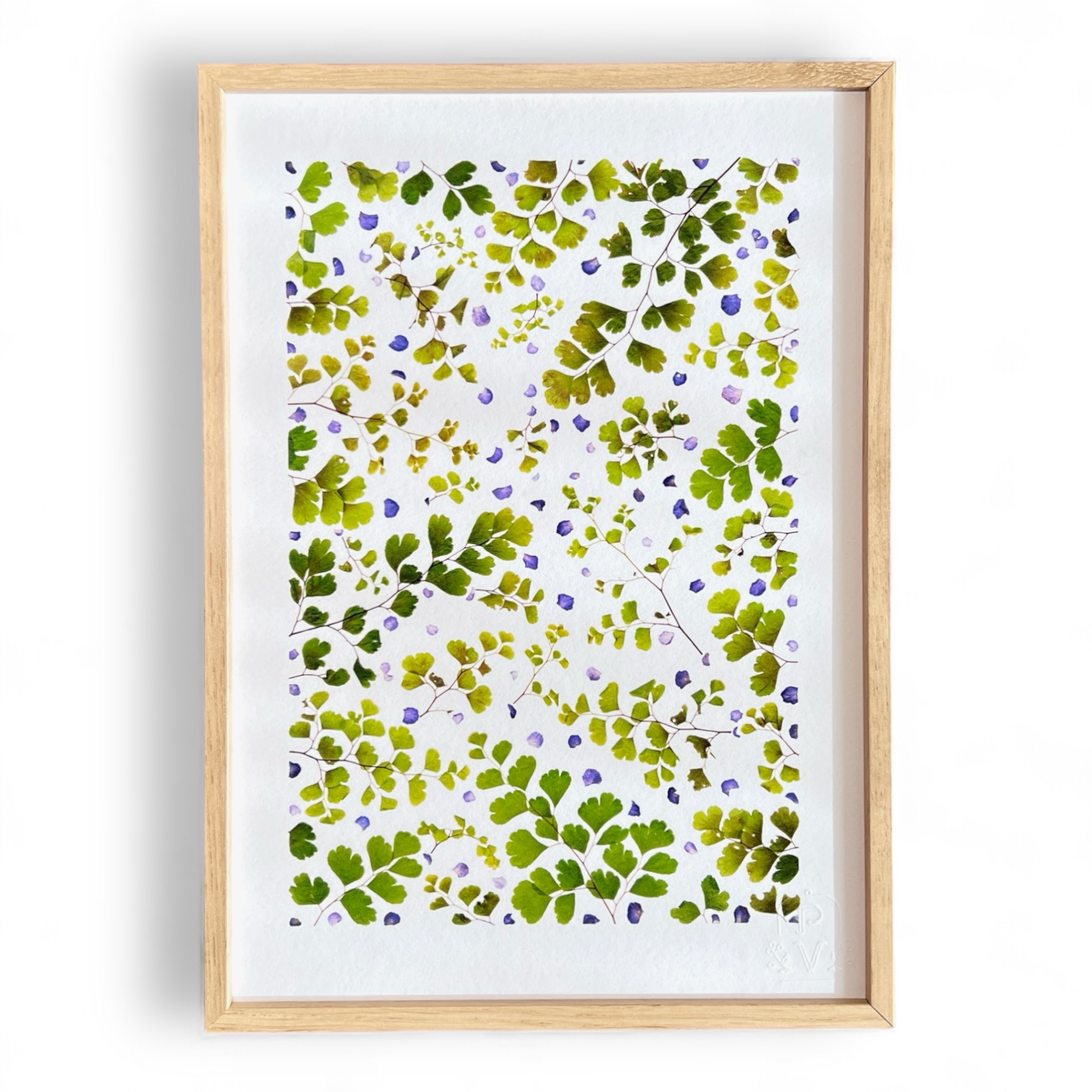 tirage-art-adiantum-les-poesies-vegetales-1