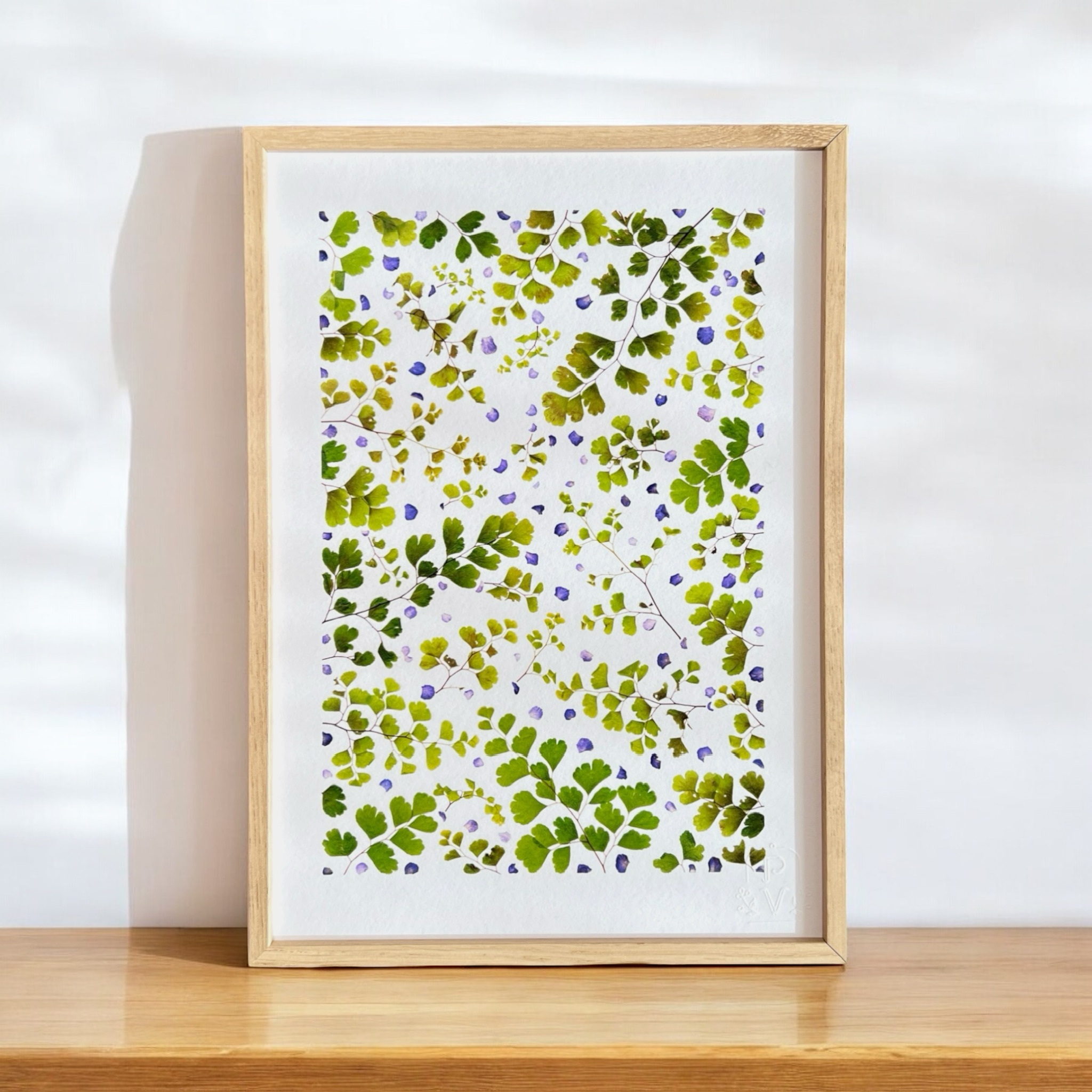 tirage-art-adiantum-les-poesies-vegetales-2