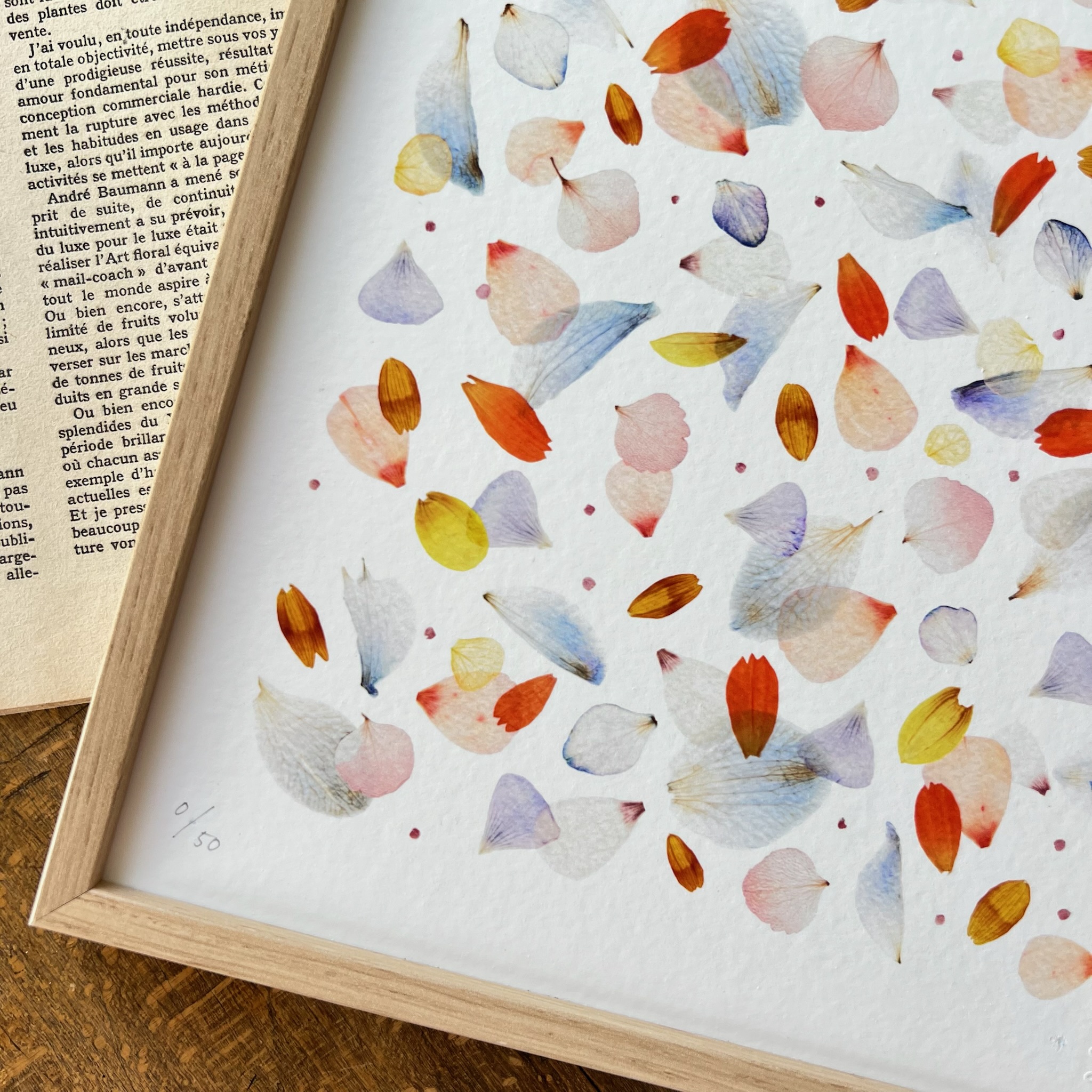 tirage-herbier-brume-lespoesiesvegetales-2