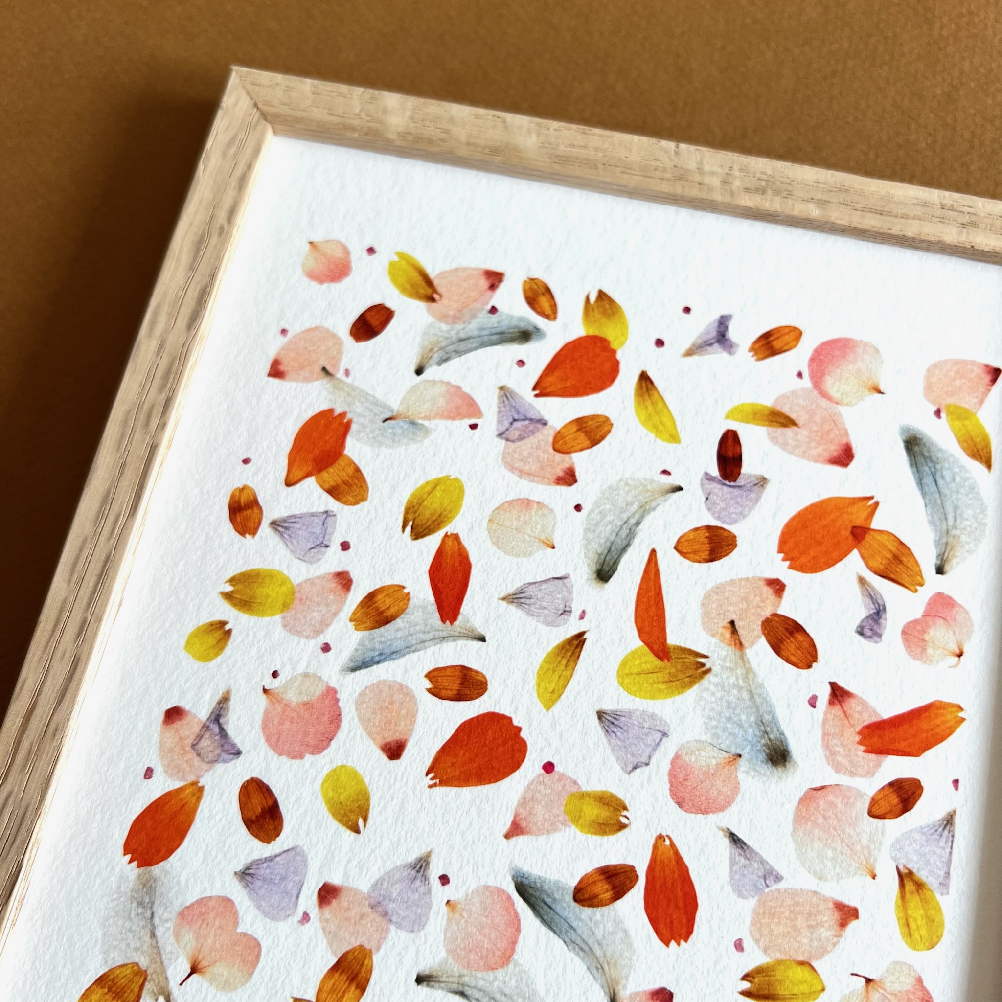 tirage-herbier-sunset-lespoesiesvegetales-3