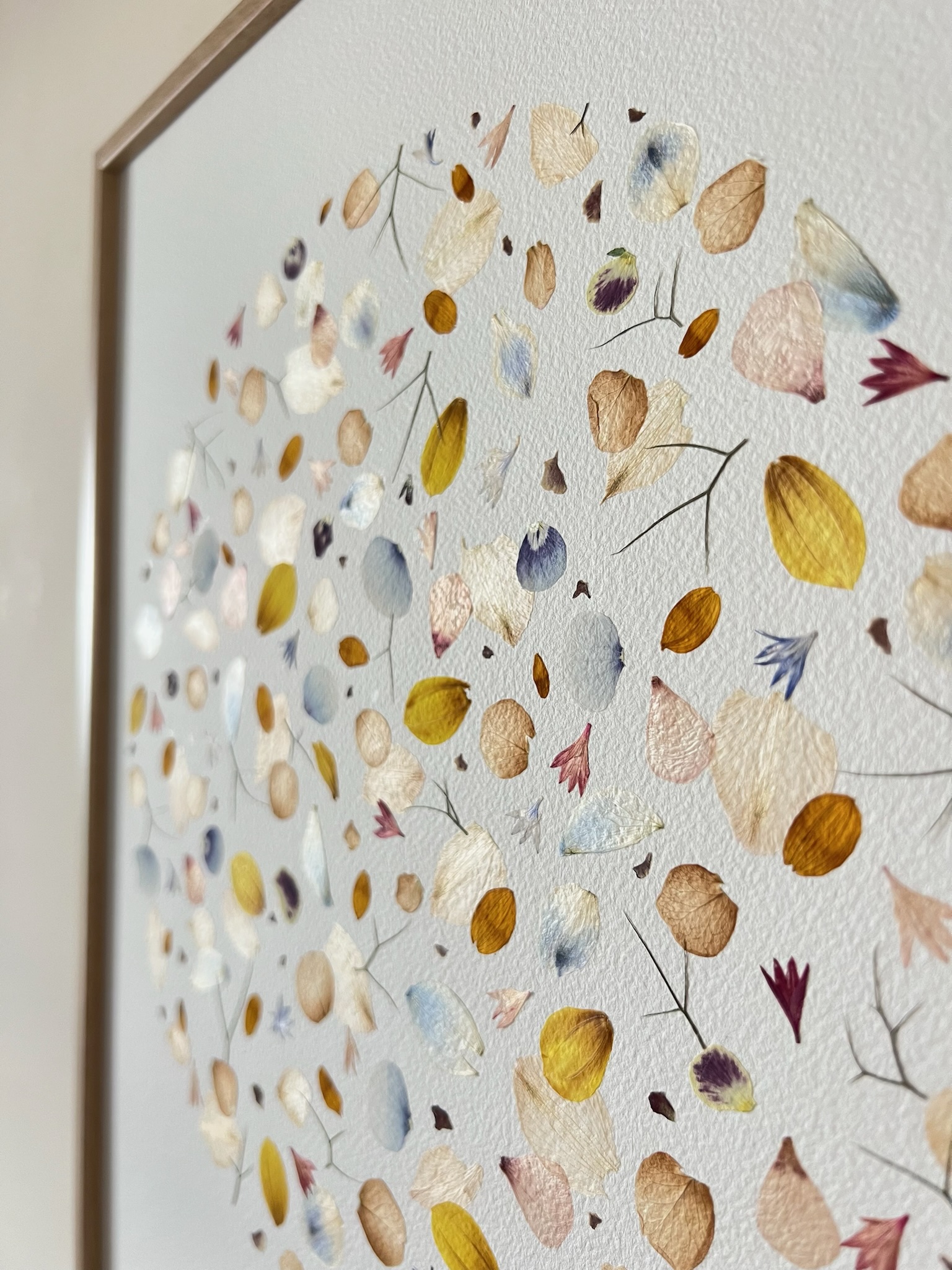 herbier-473-30x40-efflorescence-de-lhiver-lespoesiesvegetales-6