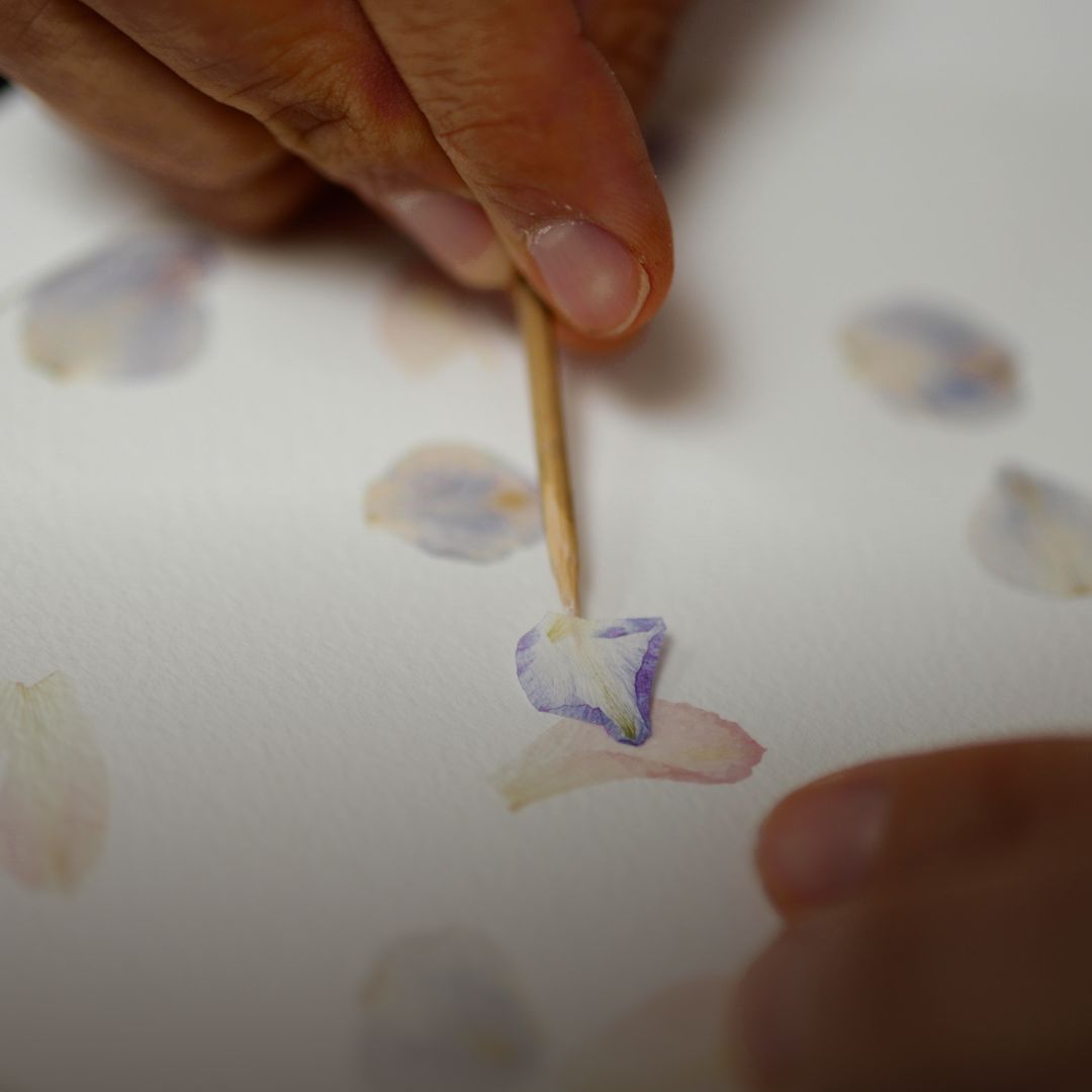 Herbiers | Tableaux de véritables fleurs et feuilles séchées | Les poésies végétales