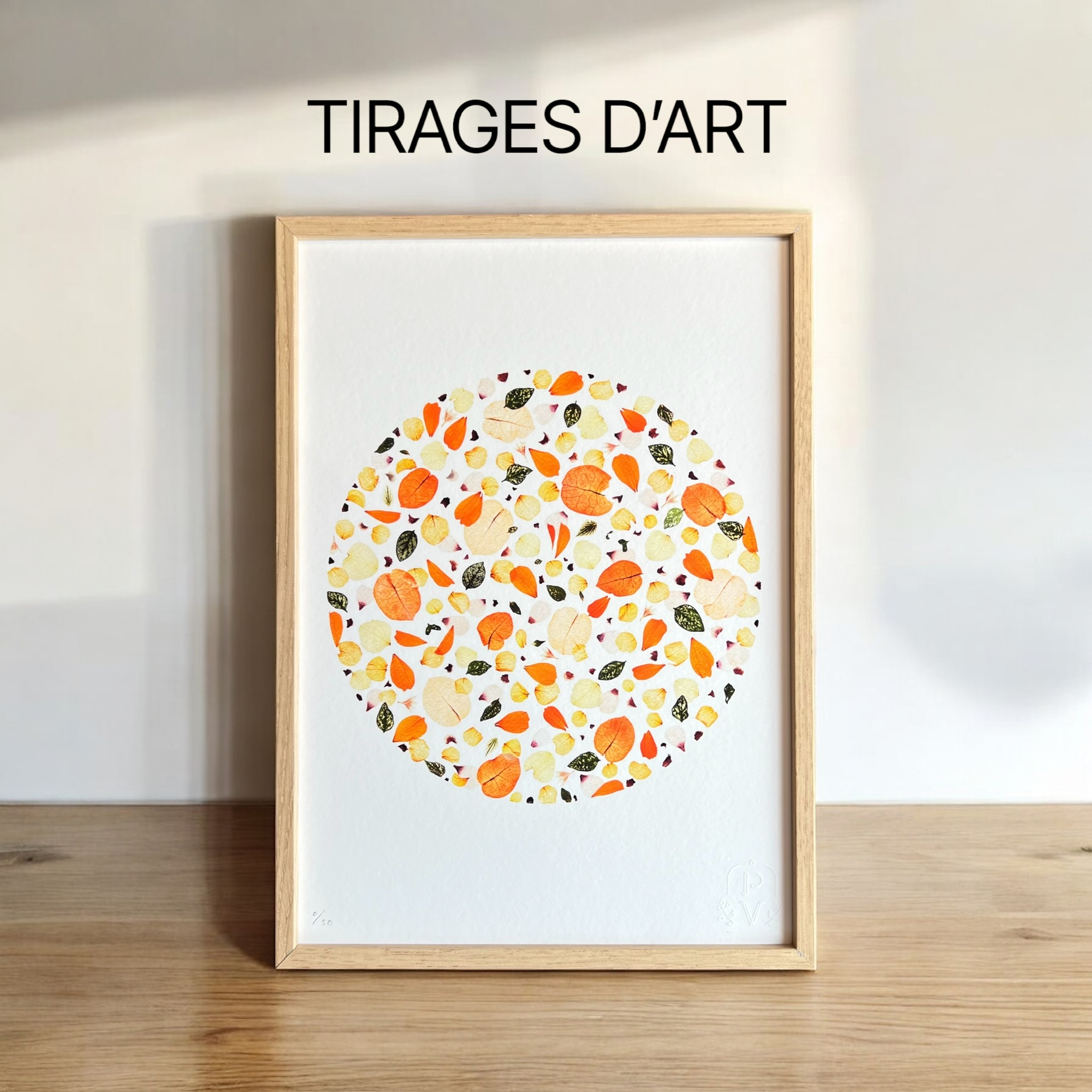 Tirages d'art d'herbiers | Impressions sur papier Fine Art