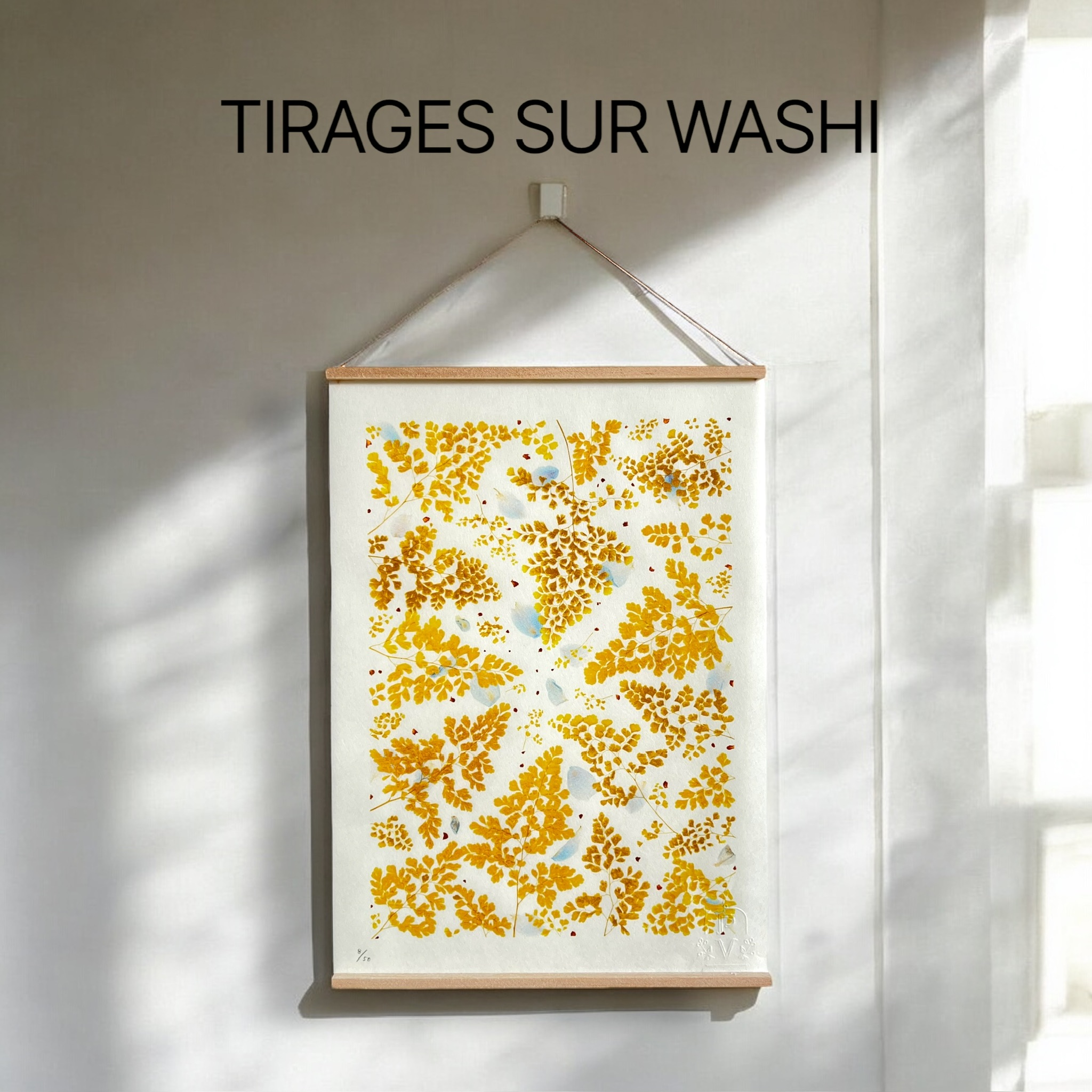 Tirages d'art d'herbiers | Impressions sur papier japonais