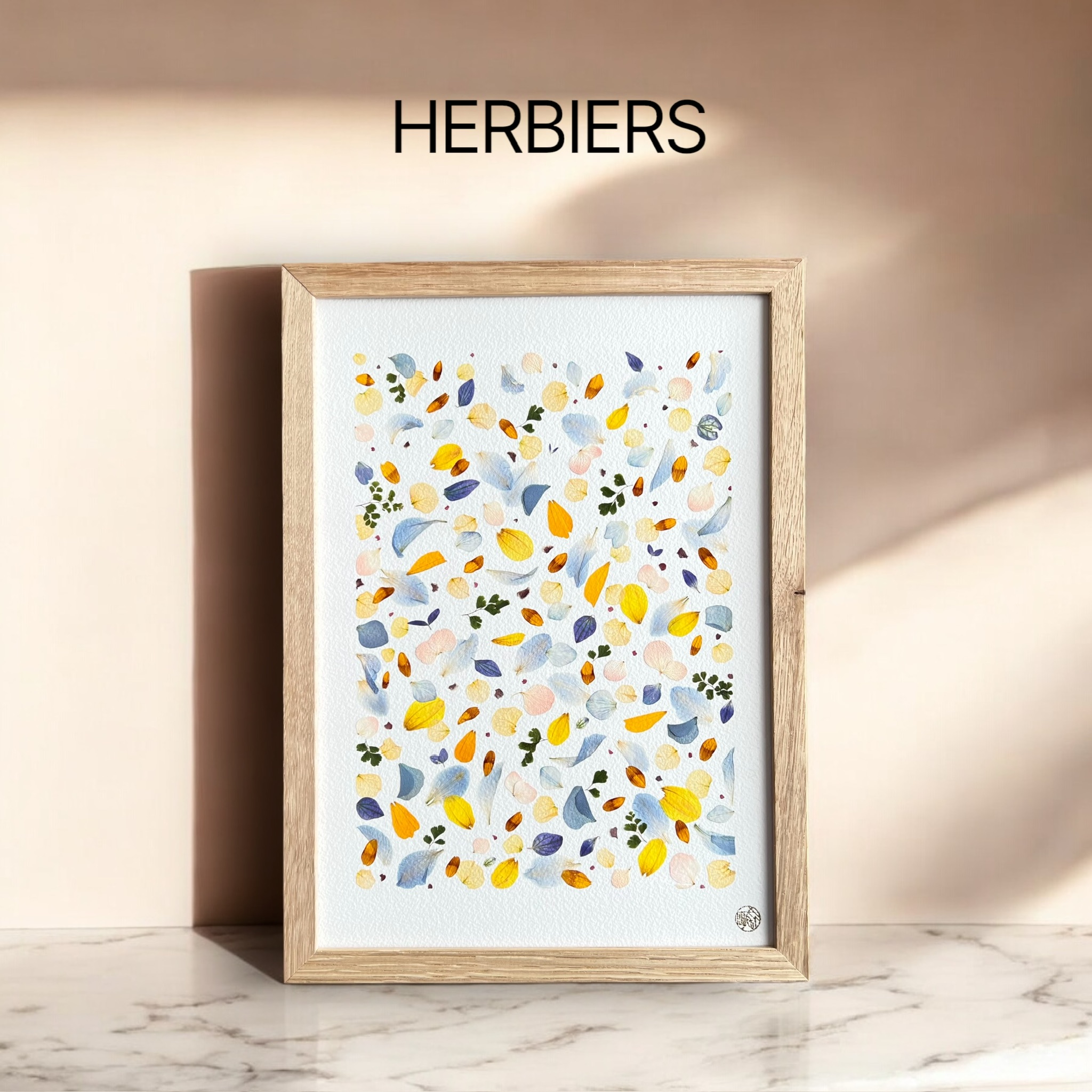 Herbiers | tableaux de fleurs séchées