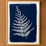 C-59-M - Cyanotype - Les Poésies Végétales - 2