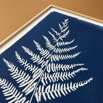 C-59-M - Cyanotype - Les Poésies Végétales - 3