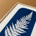 C-8-S - Cyanotype - Les Poésies Végétales - 2