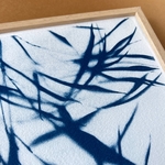 C-84-XS - Cyanotype givré - bambou - Les Poésies Végétales - 1