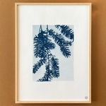 C-99-M - Cyanotype givré - Lunaires - Les Poésies Végétales - 1