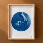 C-101-XS - Cyanotype - Main tulipe - Les Poésies Végétales - 2