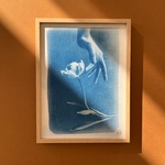 C-104-XS - Cyanotype - Les Poésies Végétales - 9