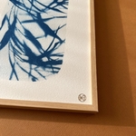 C-107-S - Cyanotype givré - bambou - Les Poésies Végétales - 4