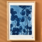 C-112-S - Cyanotype - Lunaires - Les Poésies Végétales - 3