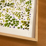 tirage-d-art-herbier-adiantum-vert-s2