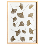 E48S-les-poesies-vegetales