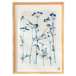 C115S-les-poesies-vegetales