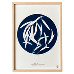 C10S-les-poesies-vegetales