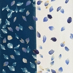 HC417M-herbier-cyanotype-les-poesies-vegetales-3