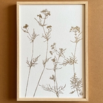 E52S-empreinte-doree-les-poesies-vegetales-1