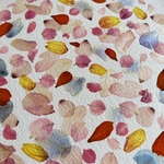 H-426-S-herbier-tableau-fleurs-les-poesies-vegetales3